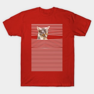 A yellow-eyed kitten peeks out from behind the stripes T-Shirt